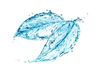 Make a Payment Invoice Payment